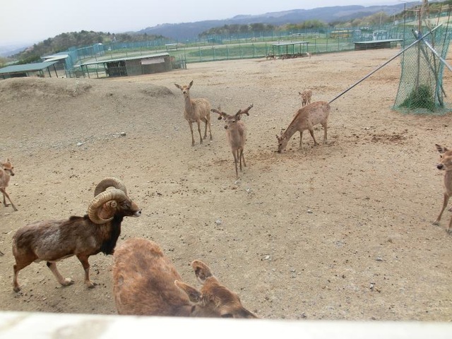 施設写真38