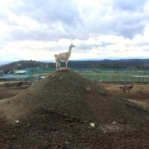 施設写真17