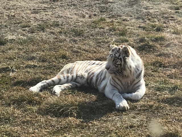 施設写真21