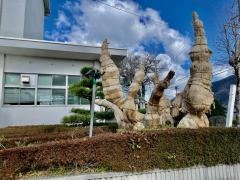 三宅小学校