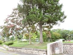 大町西公園