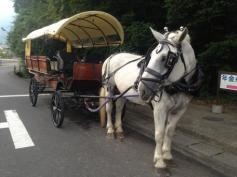 観光辻馬車