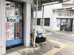 岡田金魚店