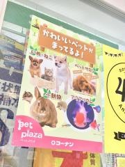 ペットプラザ　ＪＲ中山寺店