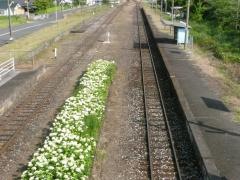 糒駅