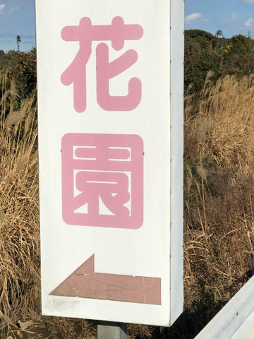 花園