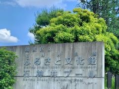 石神井プール