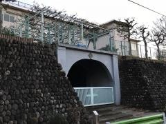 砧小学校