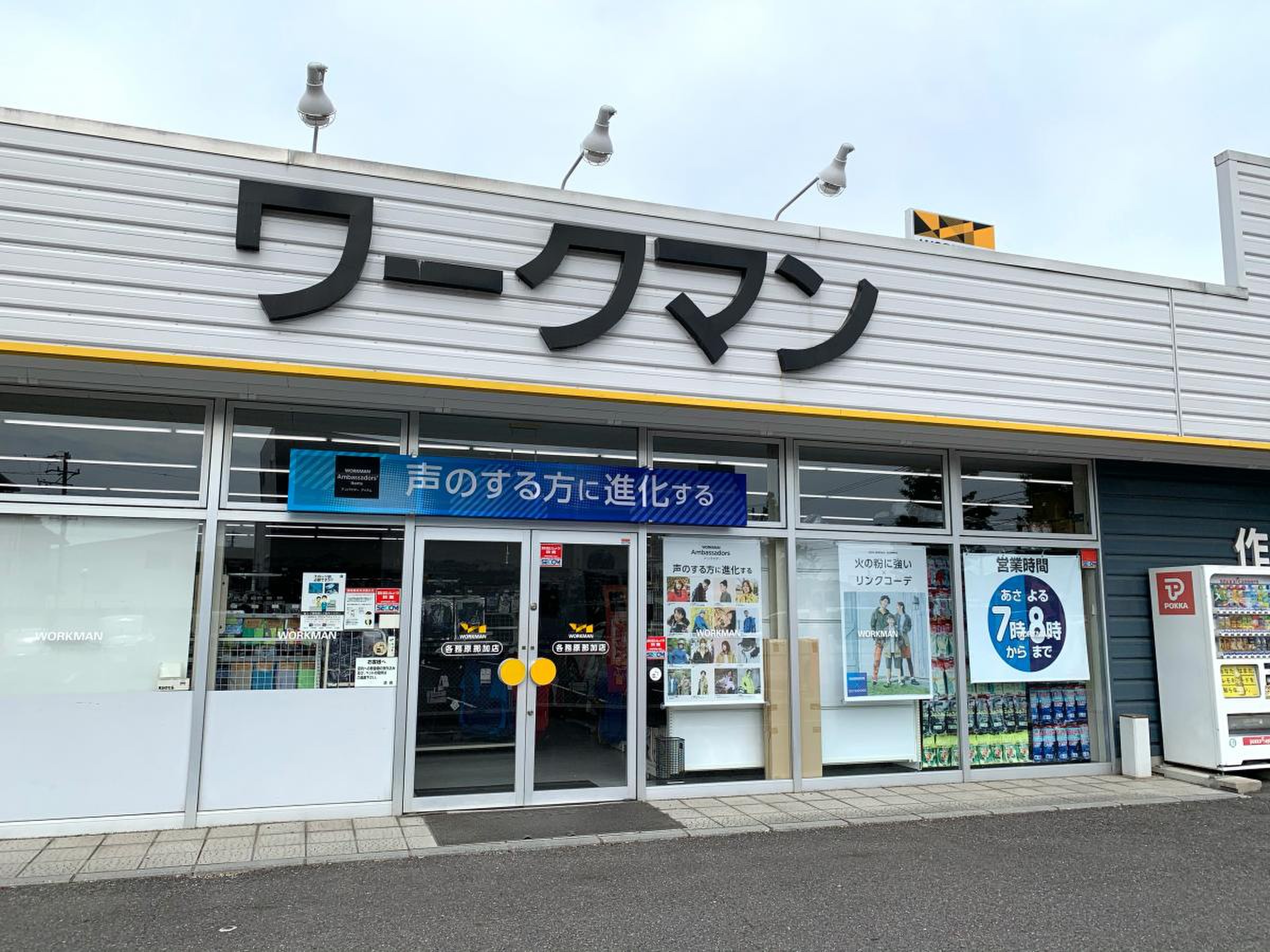 活動歴および当時の関連ビジュアル記録