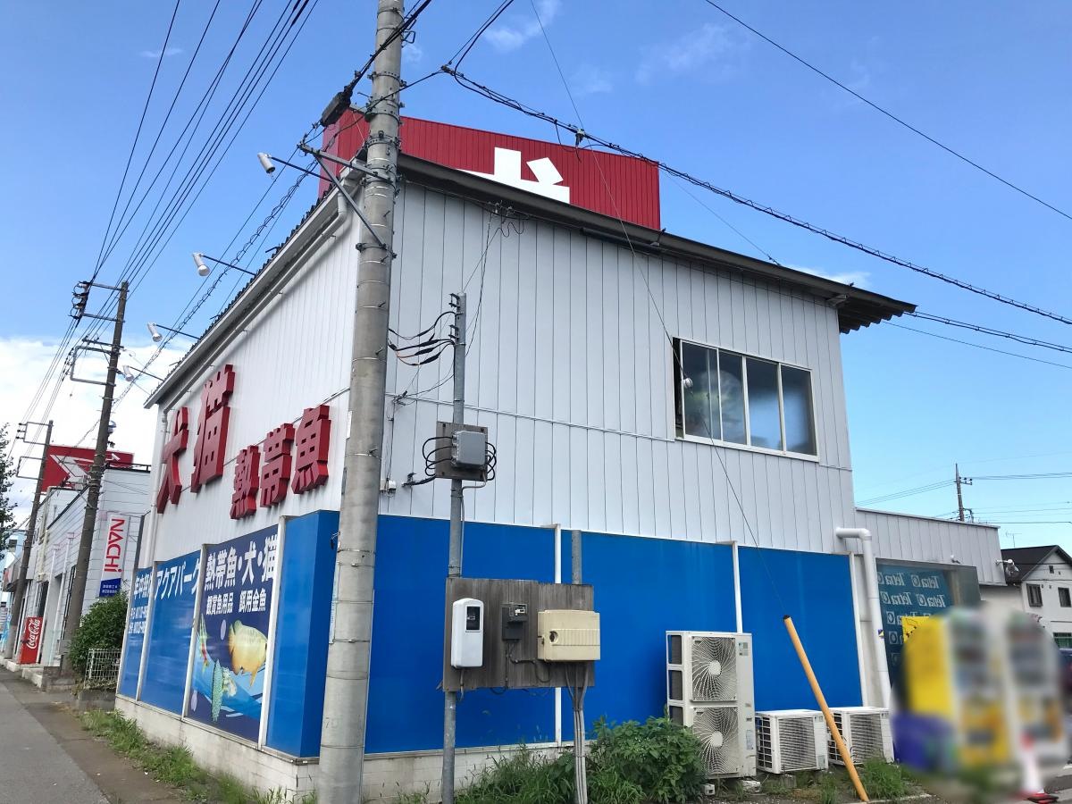 アクアパーク