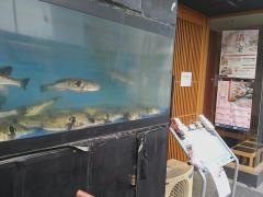 とらふぐ亭池袋東口店