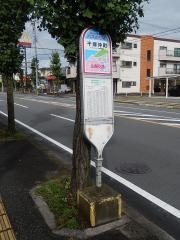 「千塚仲町」バス停留所