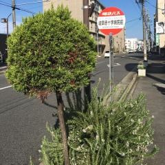 「岐阜赤十字病院前」バス停留所