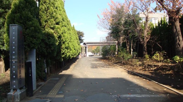 しょうじゅの里大和