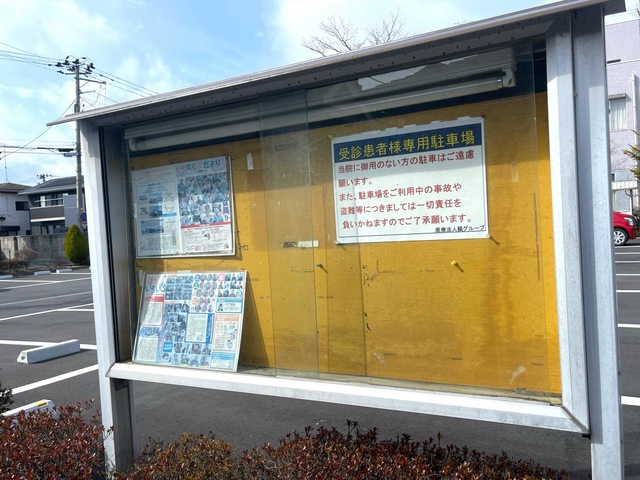 コスモス通り