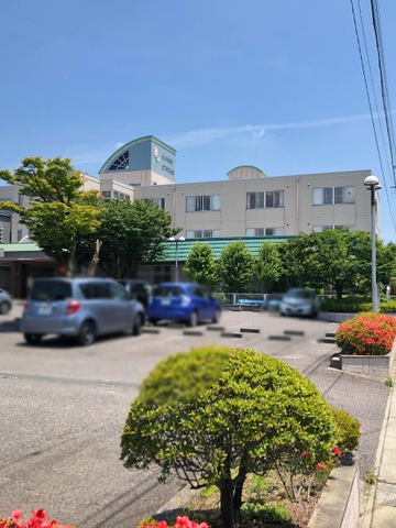 コスモス通り