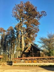 鹿島三嶋神社