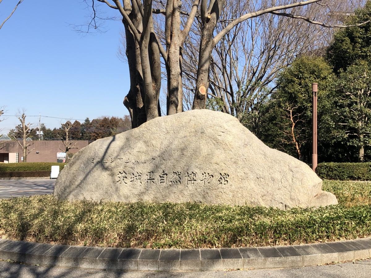 入り口モニュメント