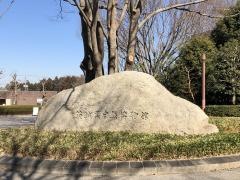 ミュージアムパーク茨城県自然博物館