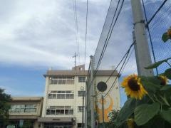 植水小学校