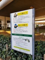 ゴリラ公園