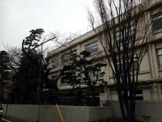 富士見高等学校