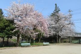 樽上公園
