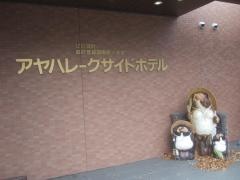アヤハレークサイドホテル