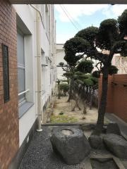 勝山小学校