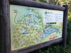 府民の森ちはや園地