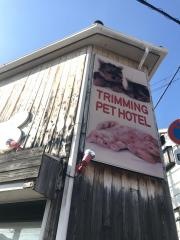 ペットオアシスキングル　住吉店