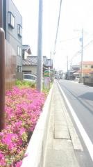 「ＪＡ中瀬支店」バス停留所