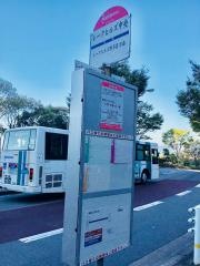 「レークヒルズ中央」バス停留所