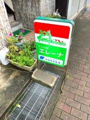 エレーナ・タコスの店