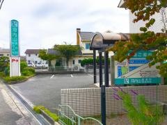 河内山皮膚科形成外科