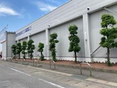 ウエルシア　館林大街道店