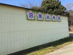 沼南幼稚園