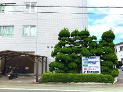 青松記念病院