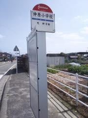 「仲原小学校」バス停留所