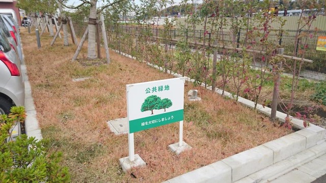 カサボニータ海老名 雰囲気