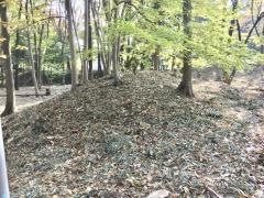 菅谷館跡