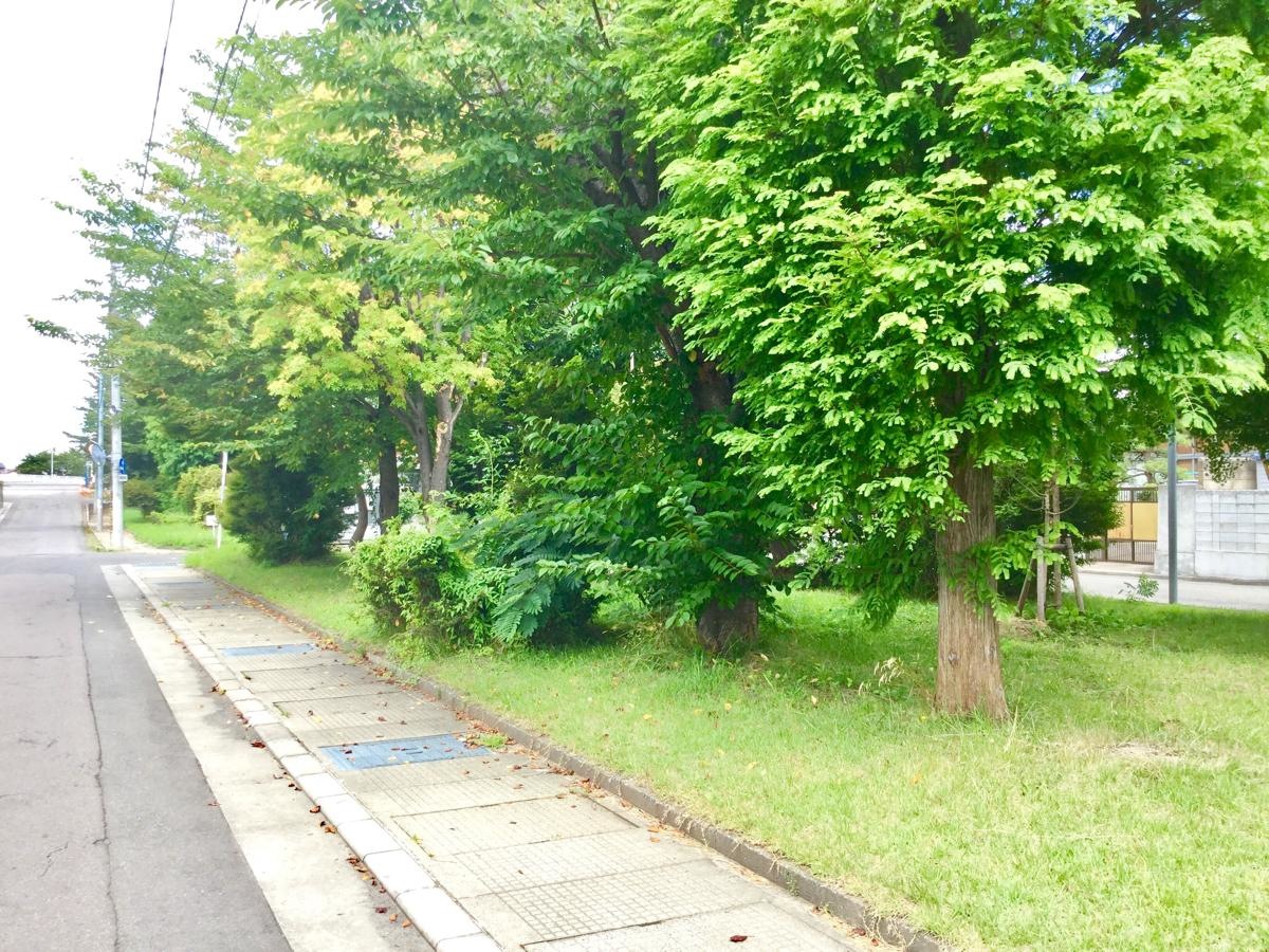 桜川北緑地