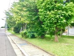桜川北緑地