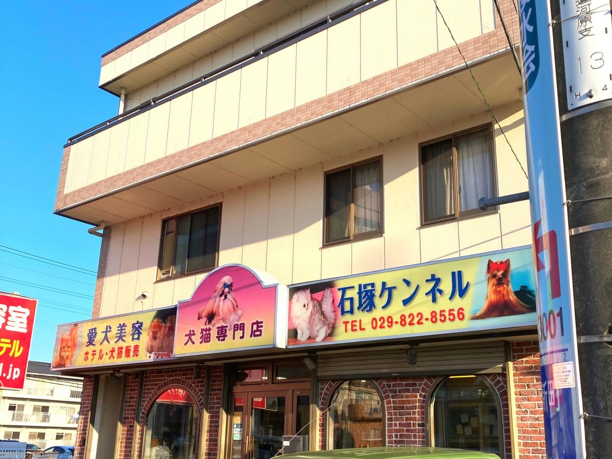 外観