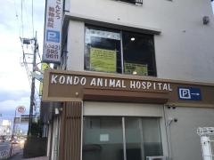 こんどう動物病院