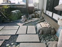すしだるま
