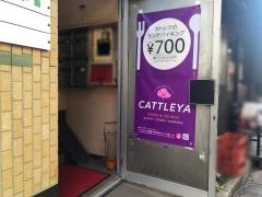 カトレア