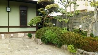 花菱