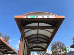 「大井町駅(西口)」バス停留所
