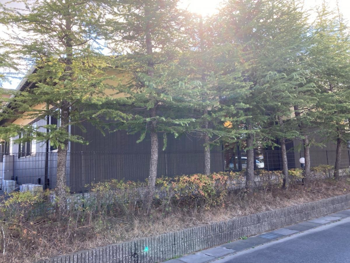 地域密着型特別養護老人ホームなのはな苑うえじ